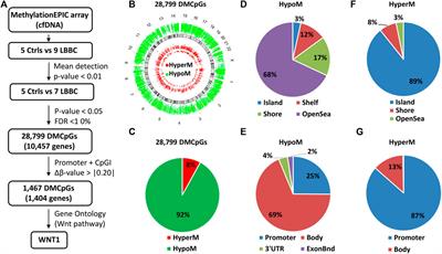 Frontiers | A Genome-wide Cell-free DNA Methylation Analysis Identifies ...